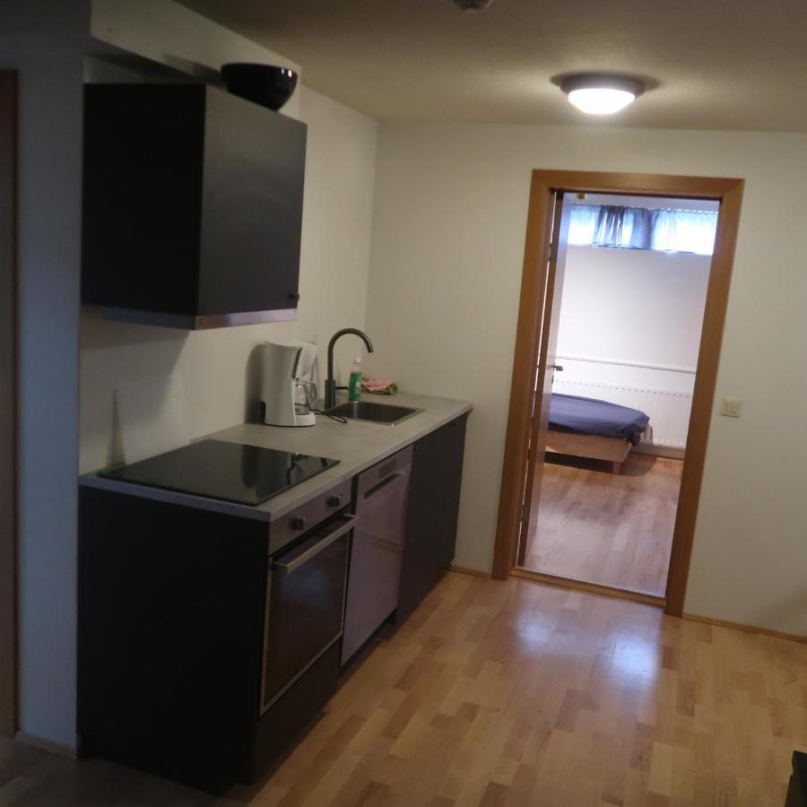 רייקיאוויק Large Apartment Close To The Centre מראה חיצוני תמונה